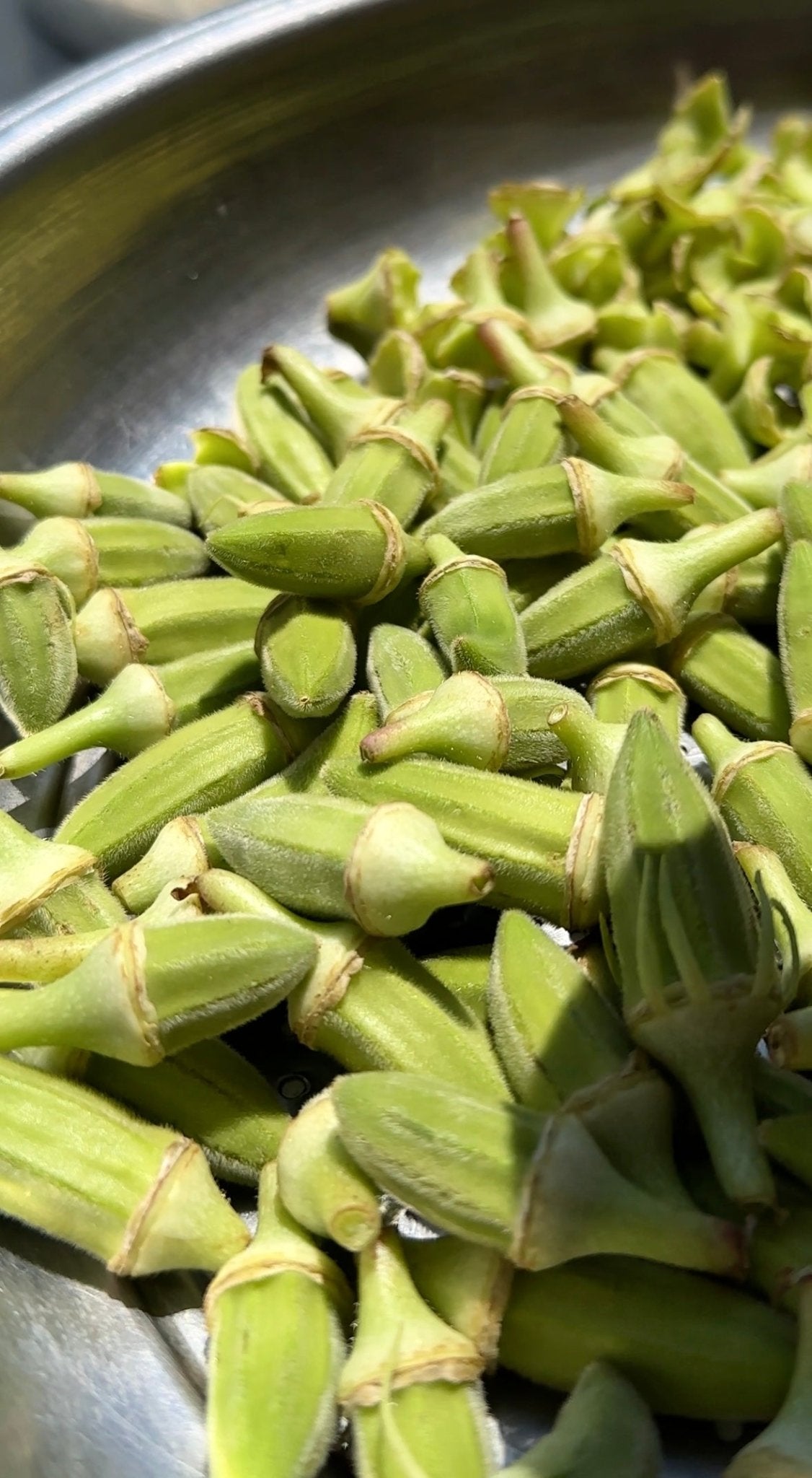 Sağlık Deposu: Silifke Doğal Kuru Bamyamız (100gr) - Akdeniz Marketim