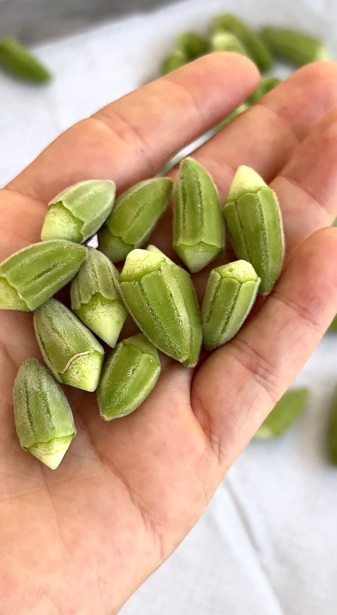Sağlık Deposu: Silifke Doğal Kuru Bamyamız (100gr) - Akdeniz Marketim